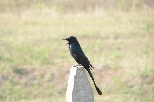 Tour image 9